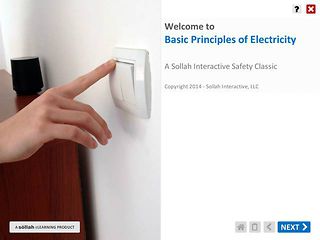 Basic Principles of Electricity™ (Safety Classic eLearning Course)