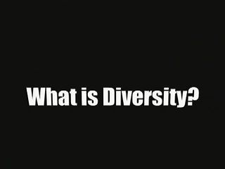 SMART-START™ What Is Diversity?