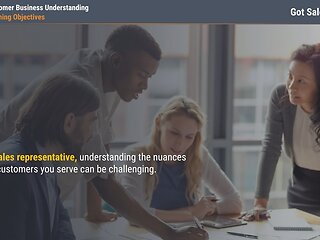 Got Sales?™ Customer Business Understanding