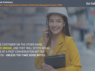 Got Sales?™ System Proficiency