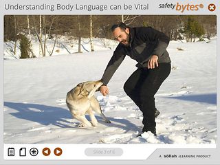 SafetyBytes® - Understanding a Dog’s Body Language
