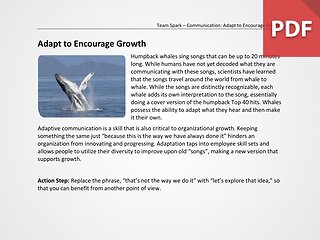 Team Spark: Adapt to Encourage Growth