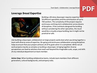 Team Spark: Leverage Broad Expertise