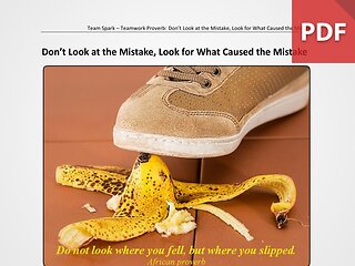 Team Spark: Proverb - Don't Look at the Mistake