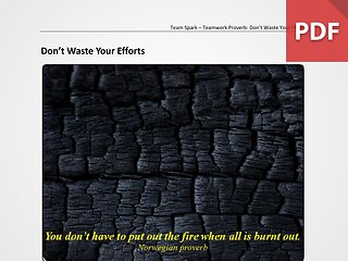 Team Spark: Proverb - Don't Waste Your Efforts