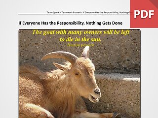 Team Spark: Proverb - If Everyone Has The Responsibility; Nothing Gets Done