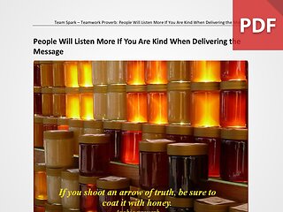 Team Spark: Proverb - People Will Listen More If You Are Kind When Delivering the Message