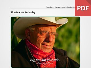 Team Spark: Proverb - Title But No Authority