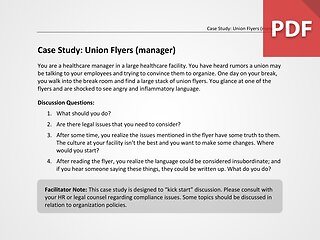 Union Fliers